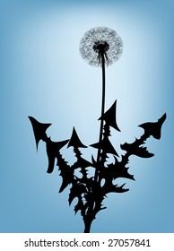 Dandelion silhouette