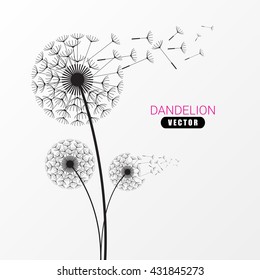 Dandelion silhouette. Flying dandelion buds. Modern design. Vector illustration