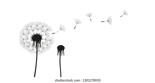 dandelion silhouette with flying seeds isolated on white background vector illustration EPS10