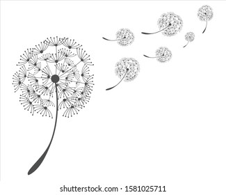 dandelion silhouette flying vector logo