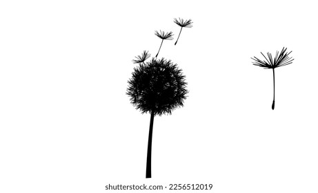 silueta de dandelion vector de alta calidad