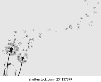 Dandelion silhouette snail and ladybug, black and white, horizontal format