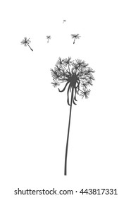 Dandelion silhouette - vector illustration.
