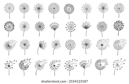 Dandelion silhouettes in black and white with various delicate patterns of seeds and dandelion flowers fluttering in wind. Suitable for decor, art prints and creative projects. Vector illustration.