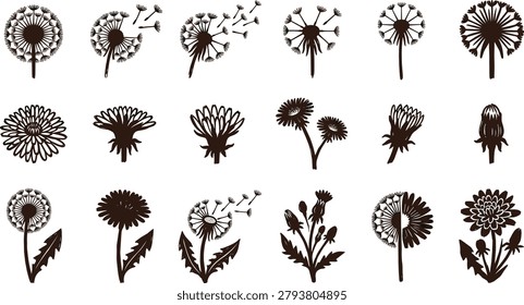 Dandelion silhouettes collection, hand drawn floral elements, blowing seeds, spring flowers, black ink botanical icons, isolated design assets
