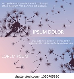 Dandelion silhouettes and flying seeds banners poster design. Vector illustration