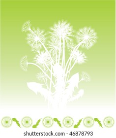 Dandelion silhouettes on green