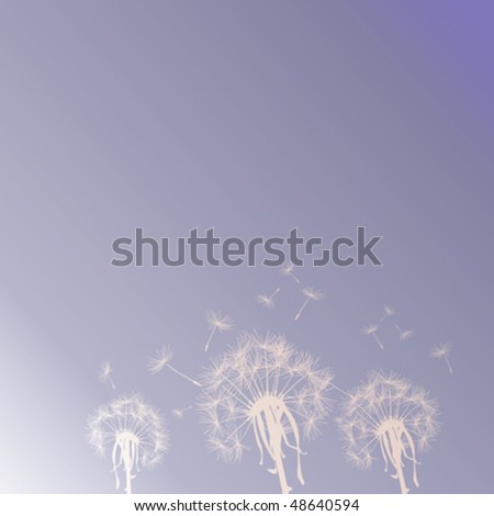 Dandelion silhouettes on the sky