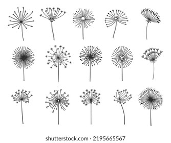 Dandelion silhouettes set, flower seeds in wind, vector flying spring blossoms. Dandelion plant floral fluffs in thin line, fluffy dandelion pattern in blow, softness, freedom or tranquility symbol