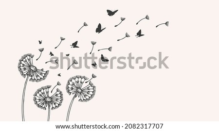 Similar – dandelion Nature Plant