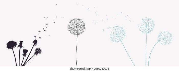 Esbozo de Dandelion, ilustración vectorial, aislado en fondo blanco.