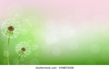 Dandelion And Spring Background With Bokeh With Gradient Mesh, Vector Illustration