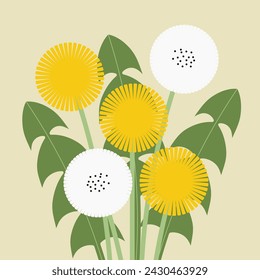 Dandelion spring plant. Summer flowers