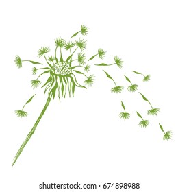 dandelion, stem, seeds, fly