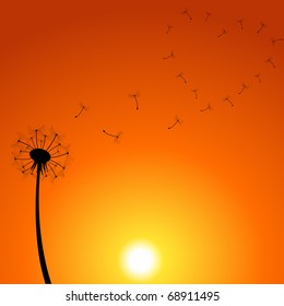 Ilustración de Dandelion Sunset