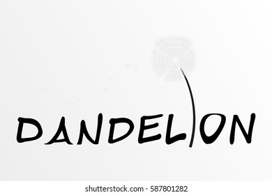dandelion text and flower vector