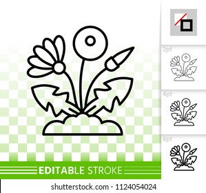Dandelion thin line icon. Outline web sign of flower. Grass linear pictogram with different stroke width. Simple vector symbol, transparent background. Dandelion editable stroke icon without fill