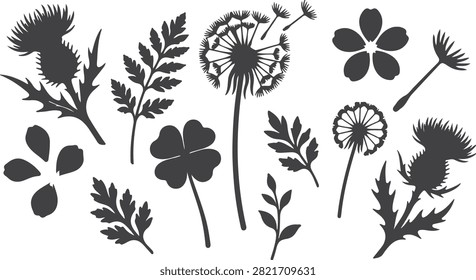 Dandelion thistle clover plants nature silhouette vector set, dandelion, thistle, clover, plant, nature, silhouette, set, icon, symbol, sign