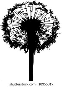 dandelion vector