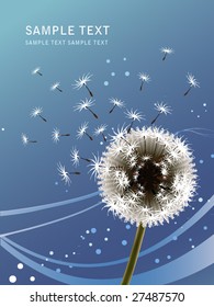 dandelion vector
