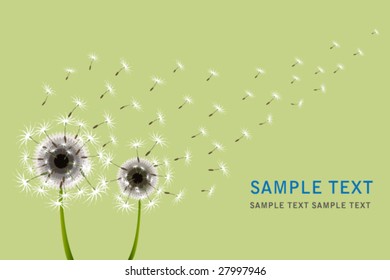 dandelion vector