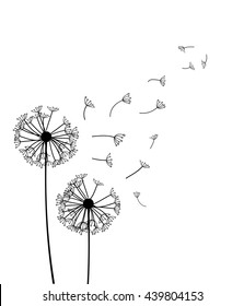 Dandelion vector 