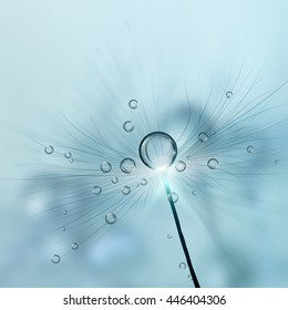 Dandelion. Vector.