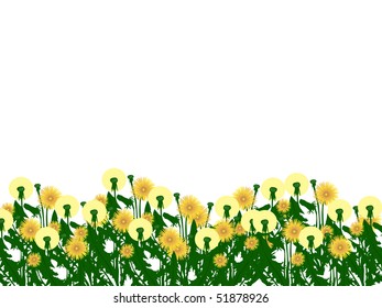 dandelion vector