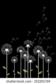 dandelion vector background botany flower blossom fluffy