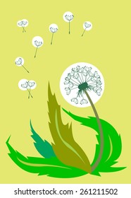 dandelion vector background botany flower blossom fluffy