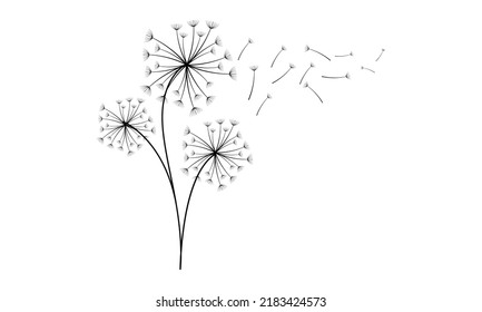 Dandelion vector and Clip Art