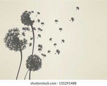 Dandelion Vector EPS10