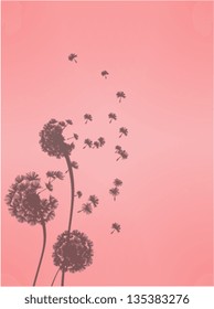 Dandelion  Vector File EPS10