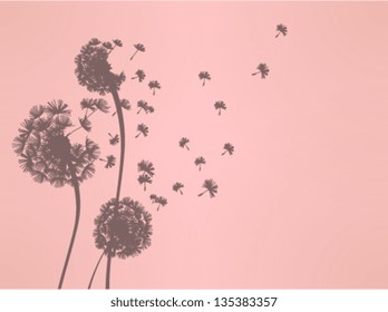 Dandelion  Vector File EPS10