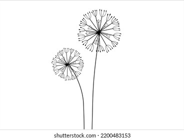 dandelion vector hand drawn design vector 