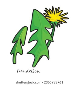 Dandelion vector icon. Color vector icon isolated on white background dandelion.