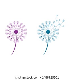 Dandelion vector icon design template 