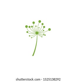 Dandelion vector icon design template