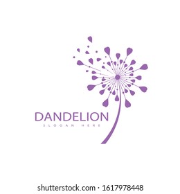 Dandelion vector icon design template