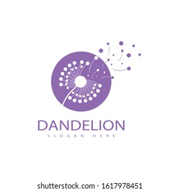 Dandelion vector icon design template