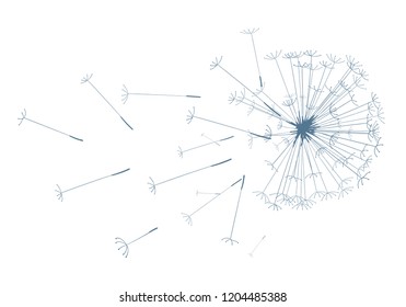 Dandelion vector illustration