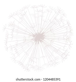 Dandelion vector illustration