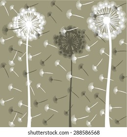 dandelion, vector, illustration, art, background, design, painting, botany
