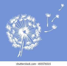 Dandelion vector illustration, blowing in the wind