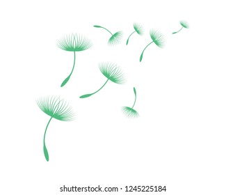 Dandelion vector illustration design