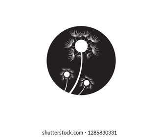Dandelion vector illustration design