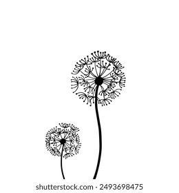 Icono de Ilustración vectorial de diente de león