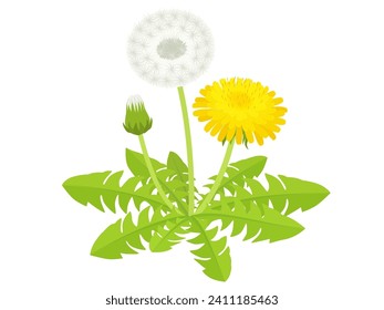 Material de ilustración vectorial de Dandelion de un punto