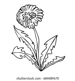 Dandelion vector illustration on white background. Doodle style. Design icon, print, logo, poster, symbol, decor, textile, paper, card. 