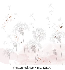 Dandelion vector illustration, rustic minimalist style, dreaming morning scene, soft pink, white clean background
